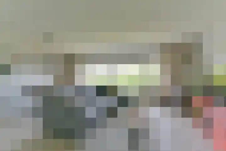 Plantage 140 Utrecht thumbnail 13