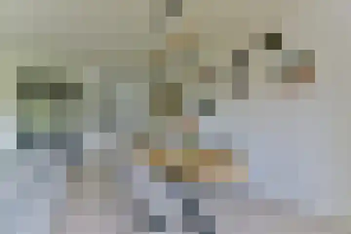 Plantage 140 Utrecht thumbnail 16