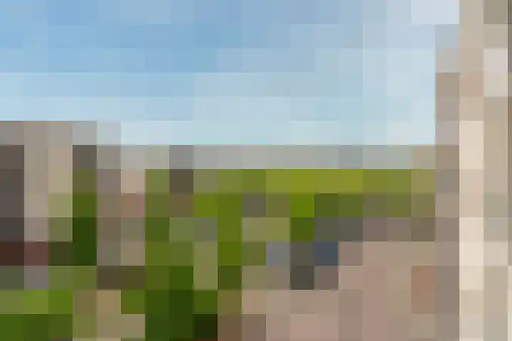 Plantage 140 Utrecht thumbnail 26