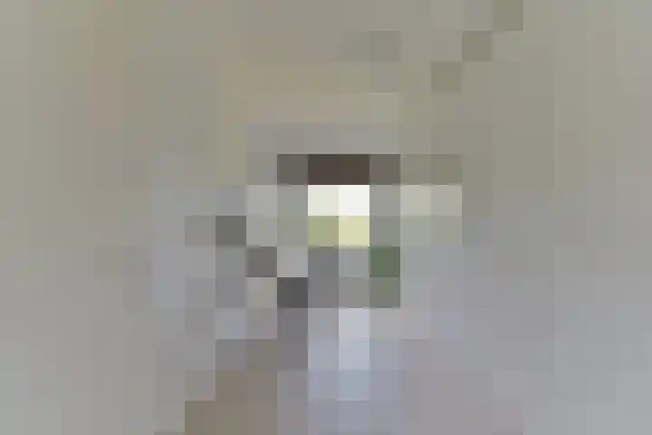 Plantage 140 Utrecht thumbnail 29