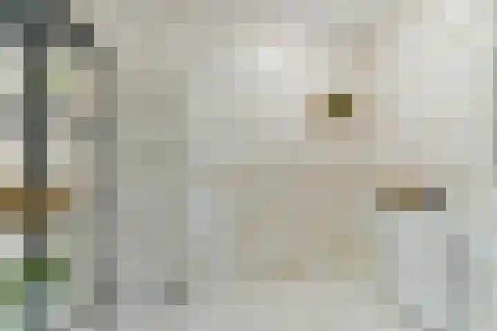 Plantage 140 Utrecht thumbnail 32