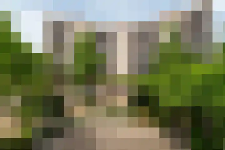 Plantage 140 Utrecht thumbnail 37