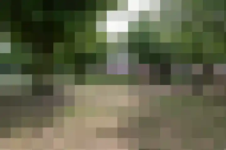 Plantage 140 Utrecht thumbnail 39