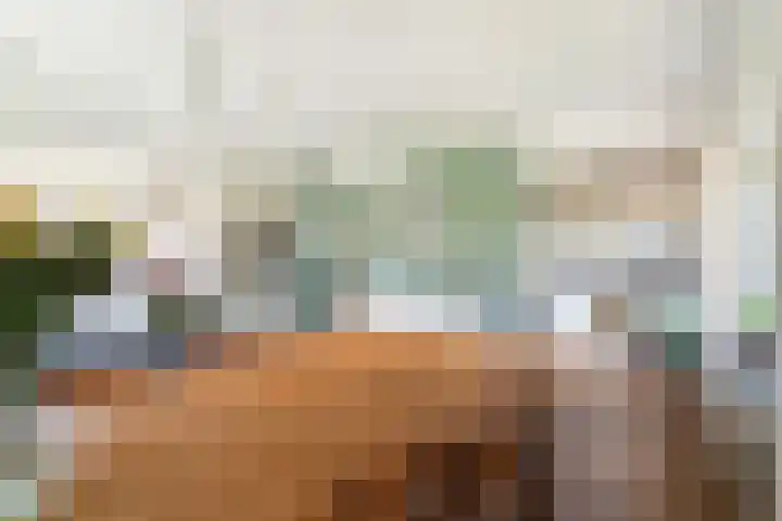Plantage 147 Utrecht thumbnail 14