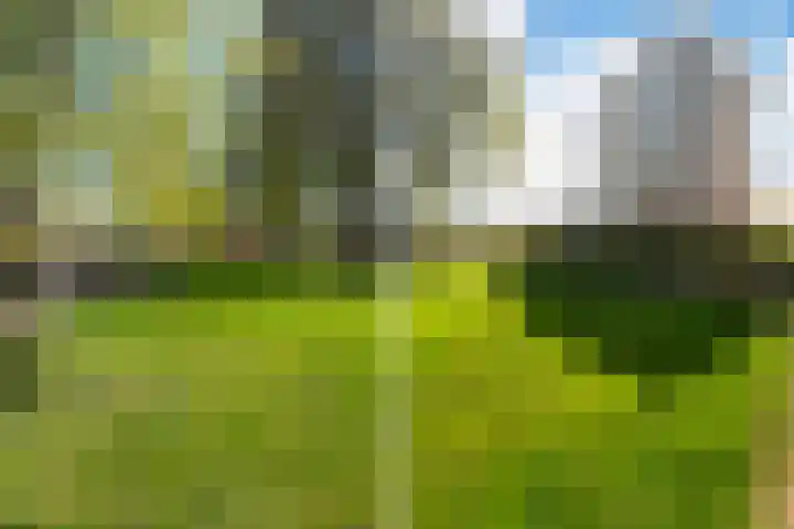 Plantage 147 Utrecht thumbnail 33