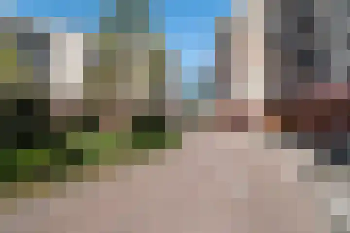 Plantage 147 Utrecht thumbnail 5