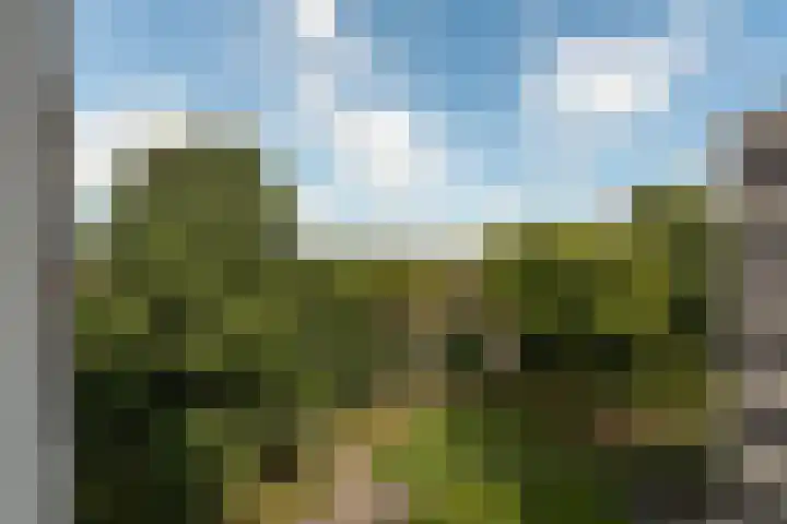 Plantage 166 Utrecht thumbnail 14