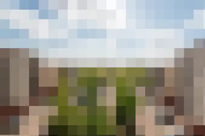 Plantage 166 Utrecht thumbnail 25