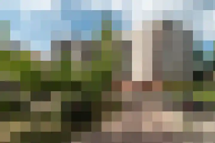 Plantage 166 Utrecht thumbnail 30
