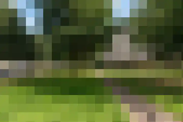 Plantage 166 Utrecht thumbnail 31