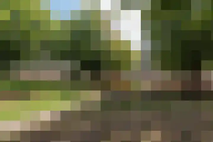 Plantage 166 Utrecht thumbnail 32
