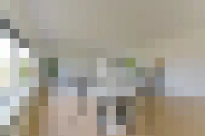Plantage 166 Utrecht thumbnail 6