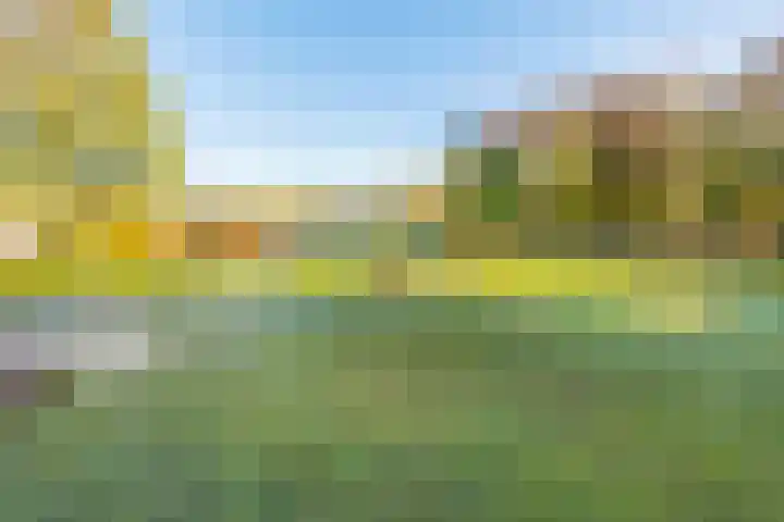 Plantage 169 Lelystad thumbnail 4