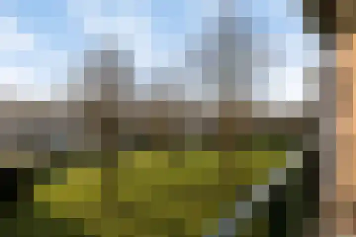Plantage 17 Krimpen aan den IJssel thumbnail 14