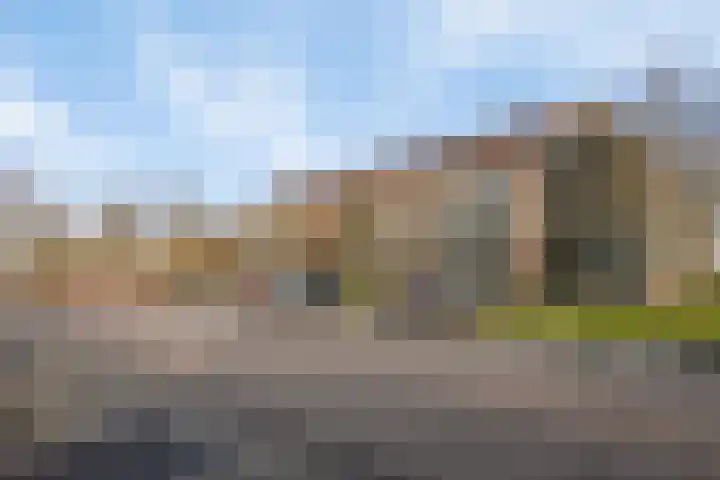 Plantage 17 Krimpen aan den IJssel thumbnail 4