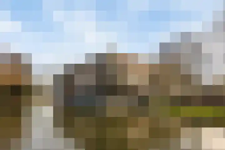 Plantage 17 Krimpen aan den IJssel thumbnail 5