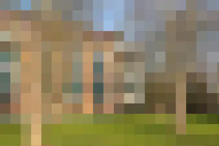 Plantage 17 Krimpen aan den IJssel thumbnail 6