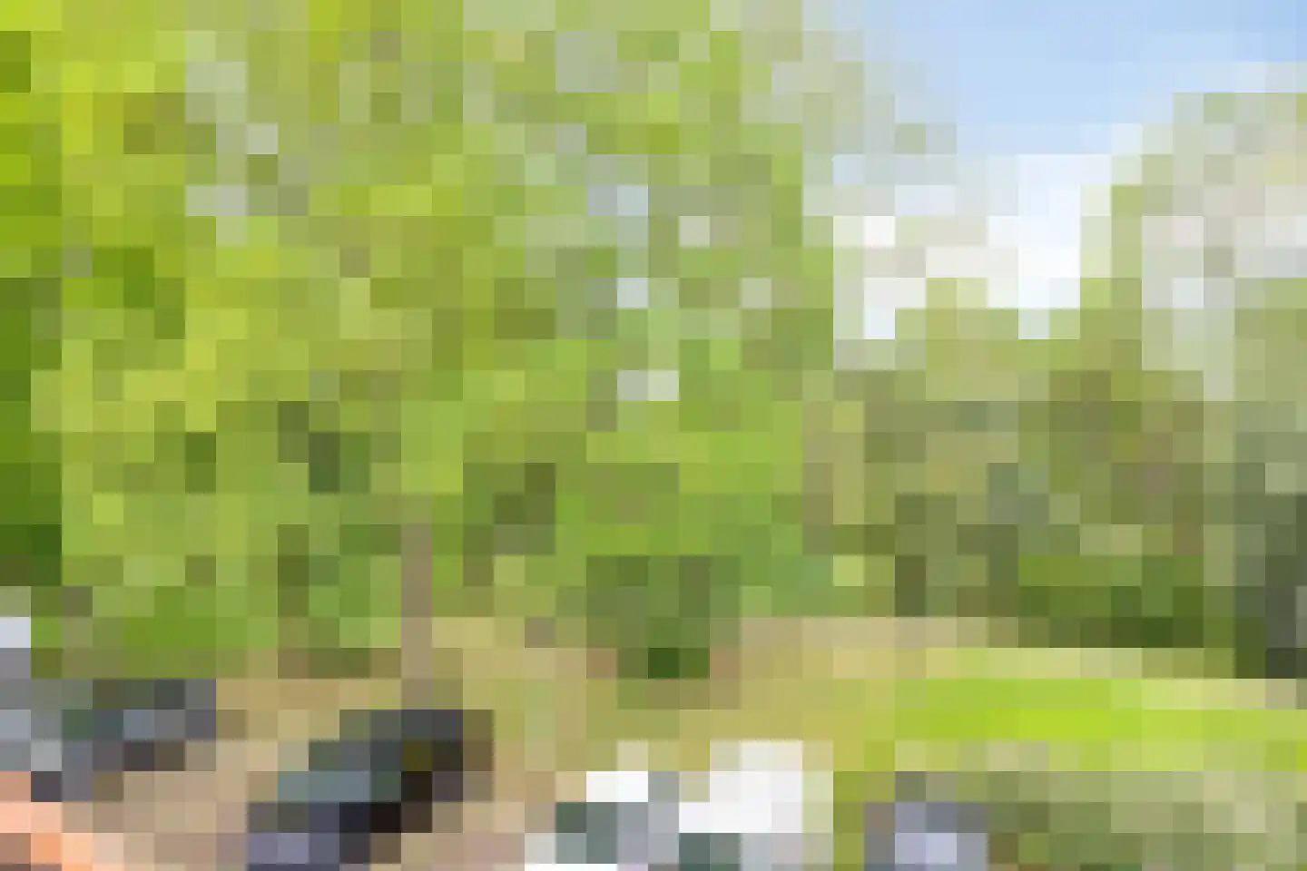 Plantage 18 Harderwijk thumbnail 27