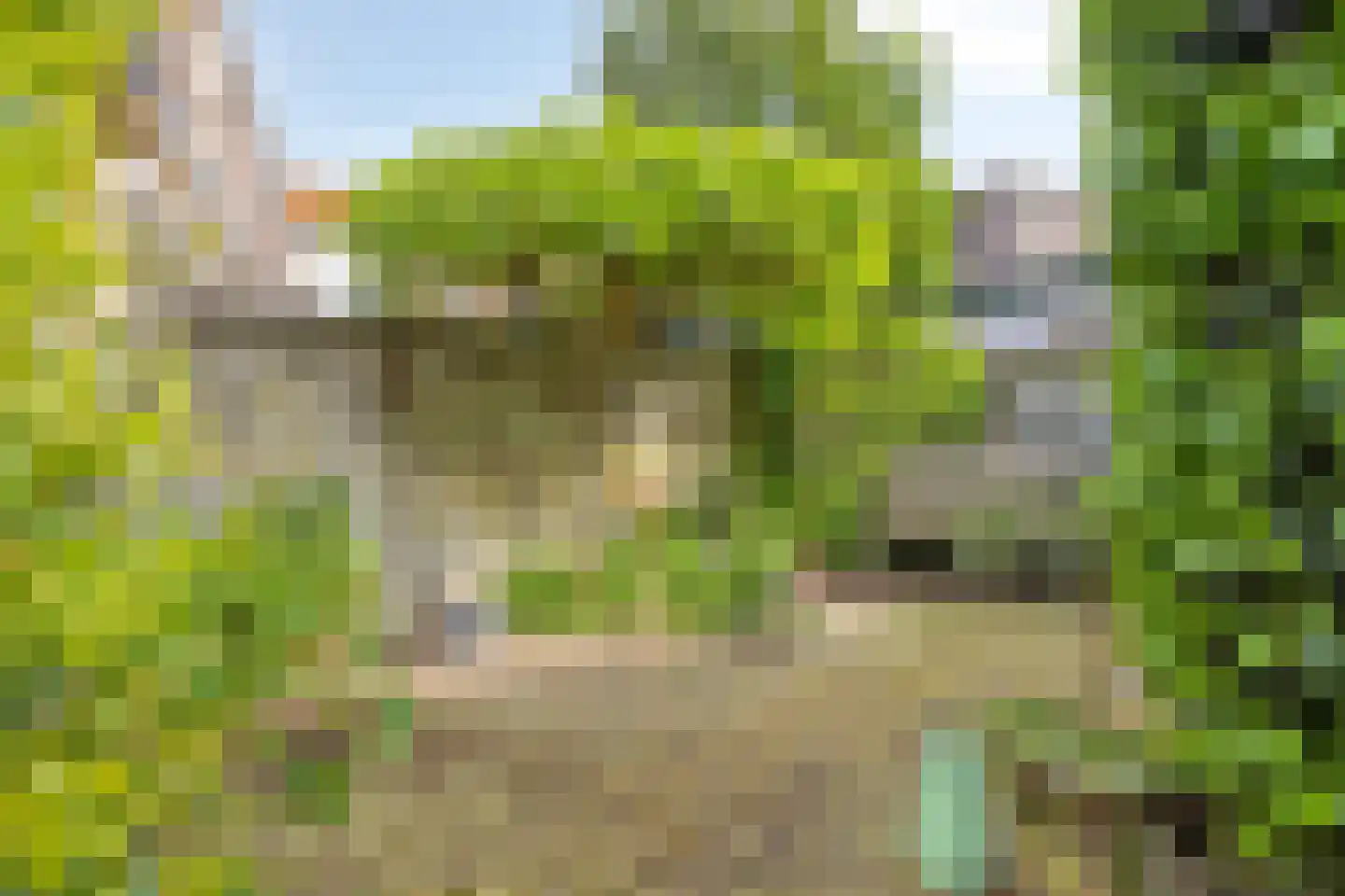 Plantage 18 Harderwijk thumbnail 28