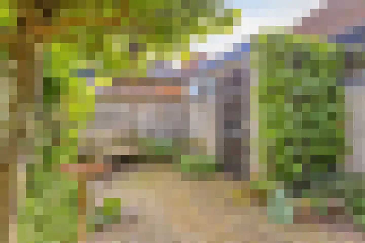 Plantage 18 Harderwijk thumbnail 29