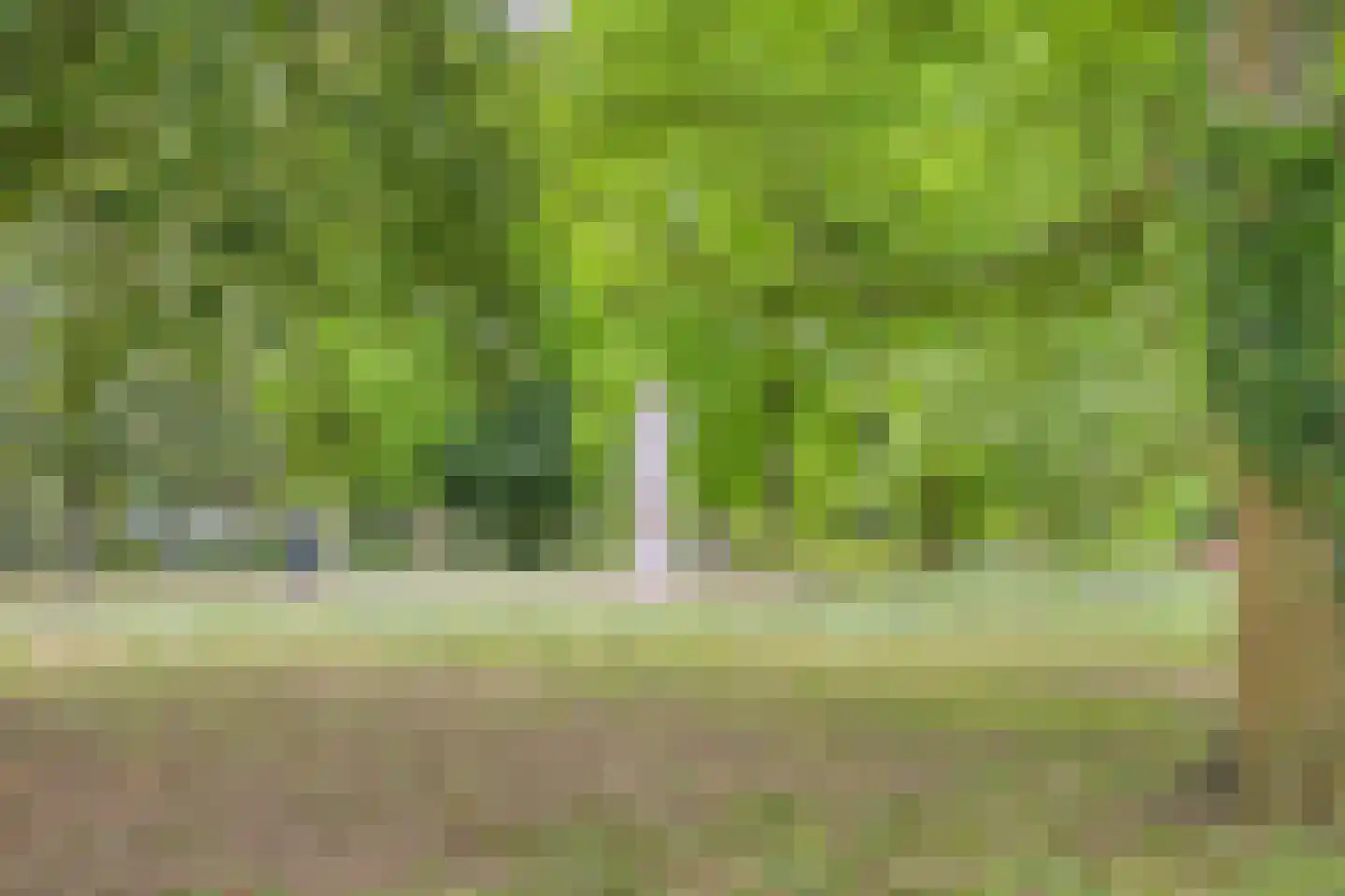 Plantage 18 Harderwijk thumbnail 32