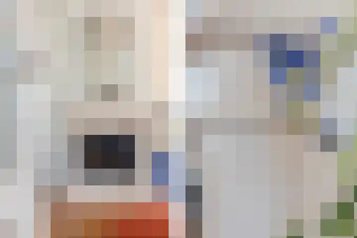 Plantage 18 Maasland thumbnail 12