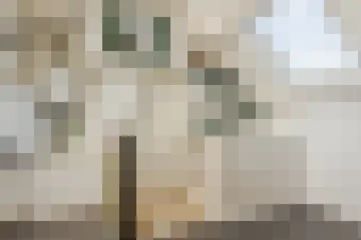 Plantage 18 Maasland thumbnail 28