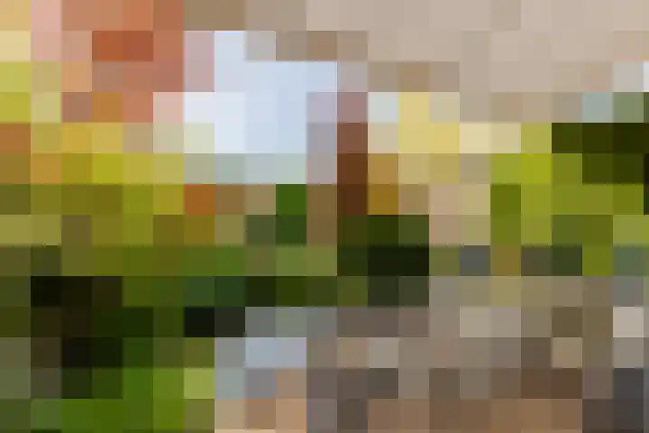 Plantage 18 Maasland thumbnail 33