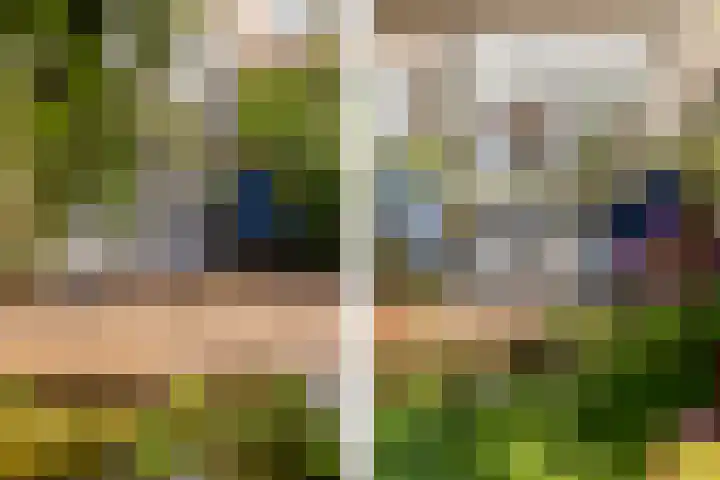Plantage 18 Maasland thumbnail 34