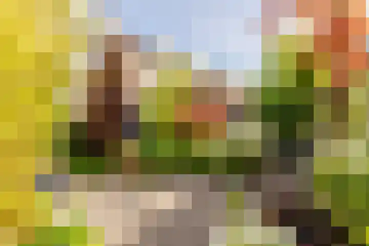 Plantage 18 Maasland thumbnail 35