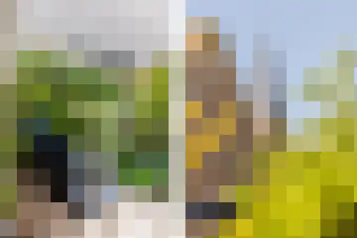 Plantage 18 Maasland thumbnail 36