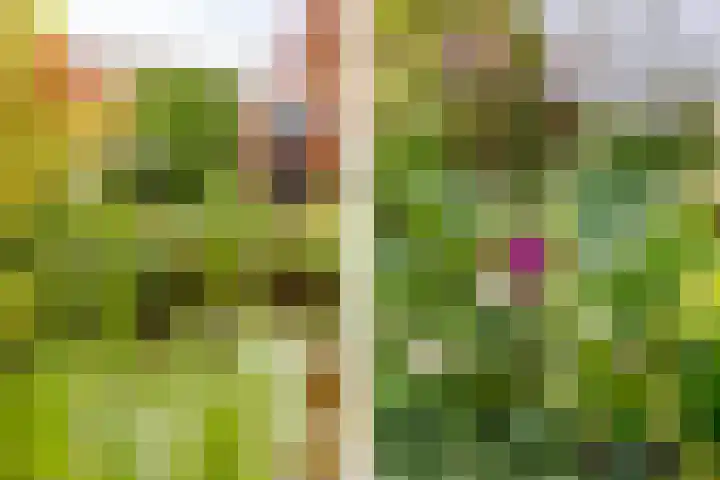 Plantage 18 Maasland thumbnail 38