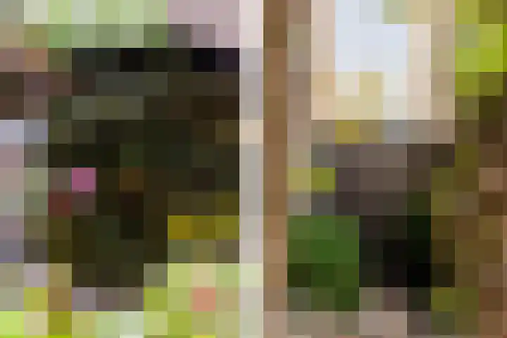 Plantage 18 Maasland thumbnail 39