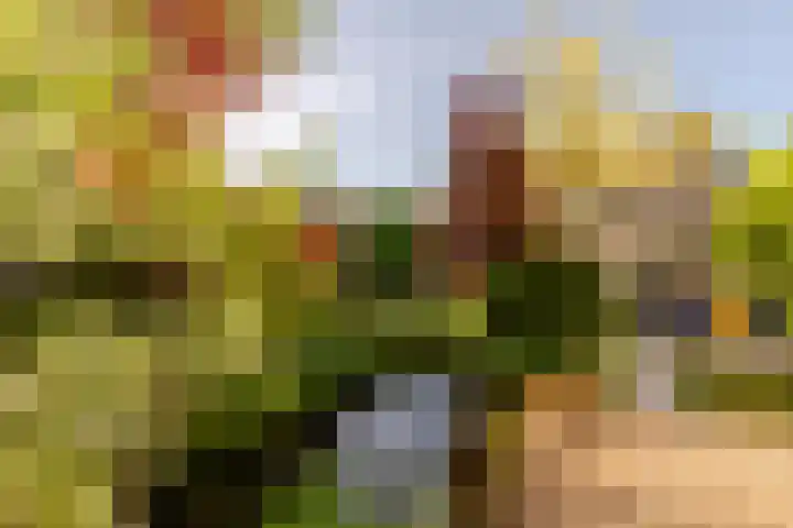 Plantage 18 Maasland thumbnail 4