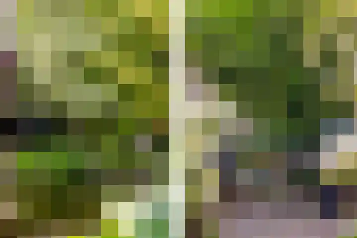Plantage 18 Maasland thumbnail 40