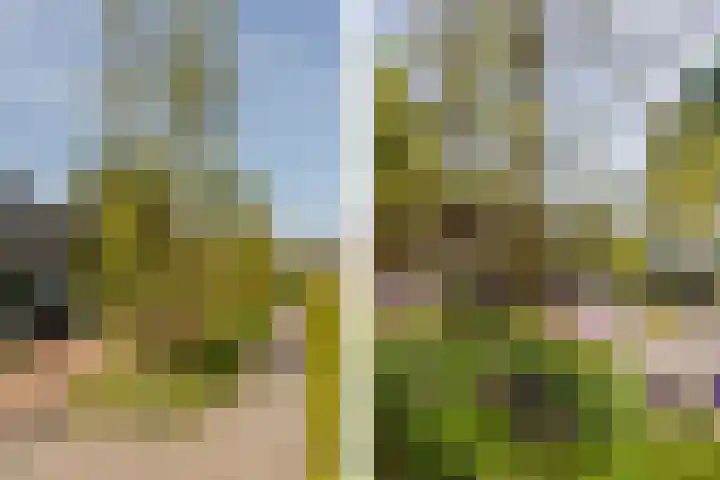 Plantage 18 Maasland thumbnail 41