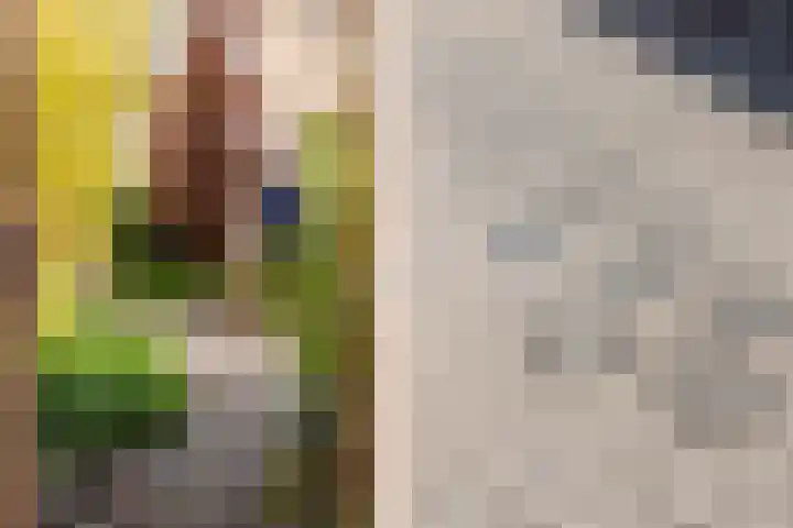 Plantage 18 Maasland thumbnail 42
