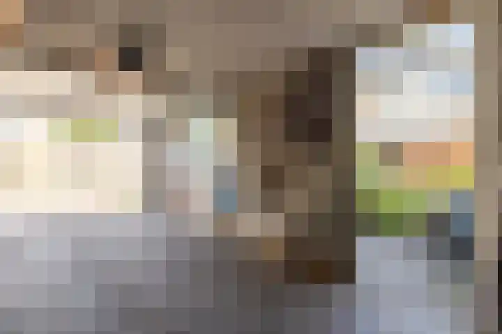 Plantage 18 Maasland thumbnail 45