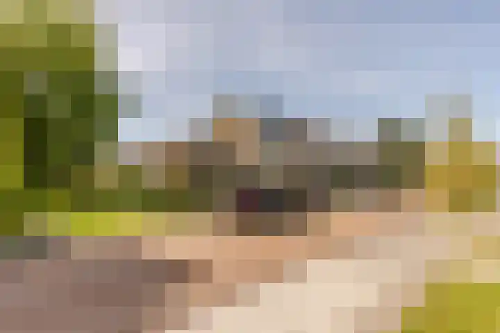 Plantage 18 Maasland thumbnail 46