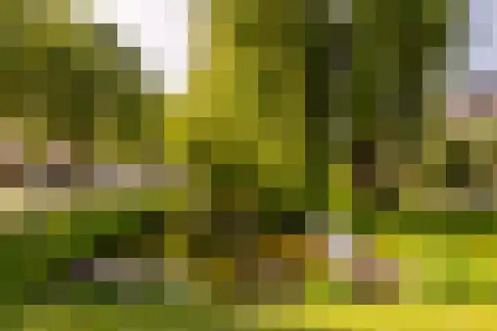 Plantage 18 Maasland thumbnail 47