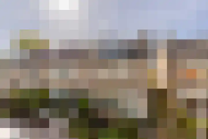 Plantage 18 Maasland thumbnail 5