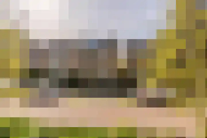 Plantage 18 Maasland thumbnail 52