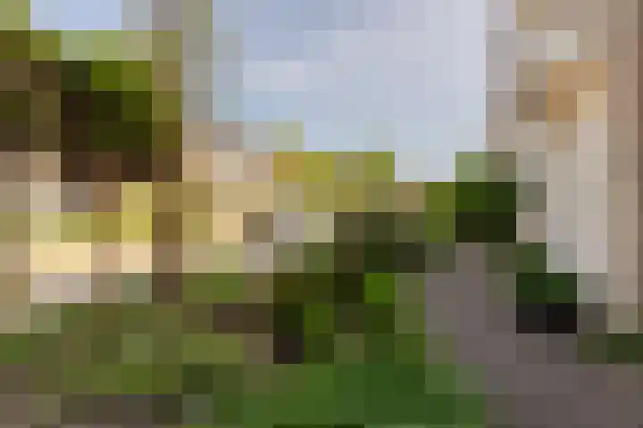 Plantage 18 Maasland thumbnail 7