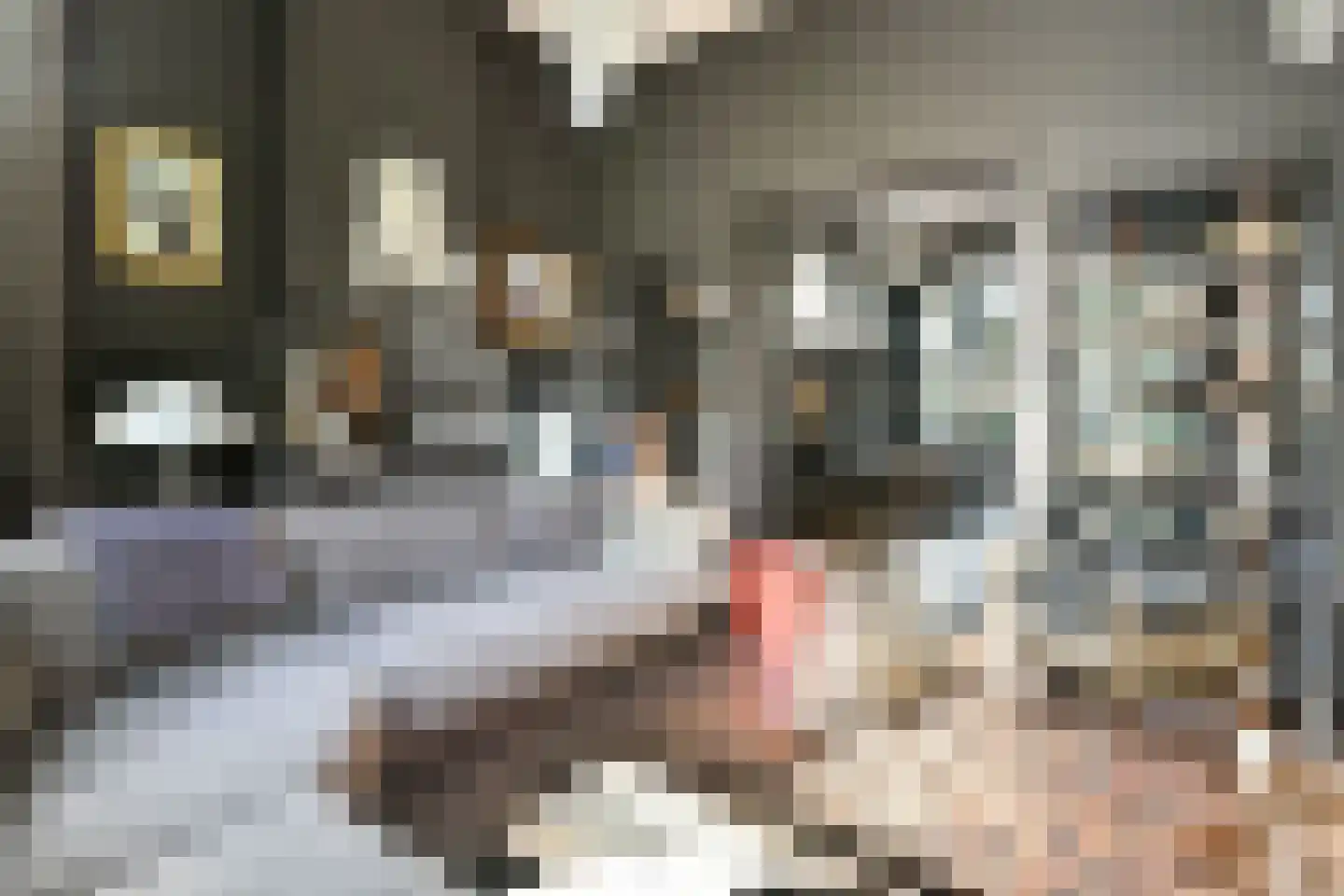 Plantage 2 Leiden thumbnail 10