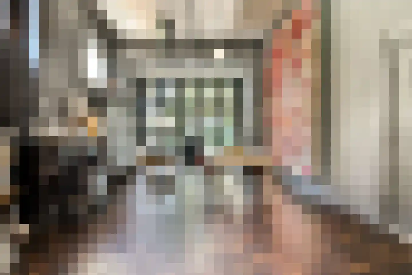 Plantage 2 Leiden thumbnail 11