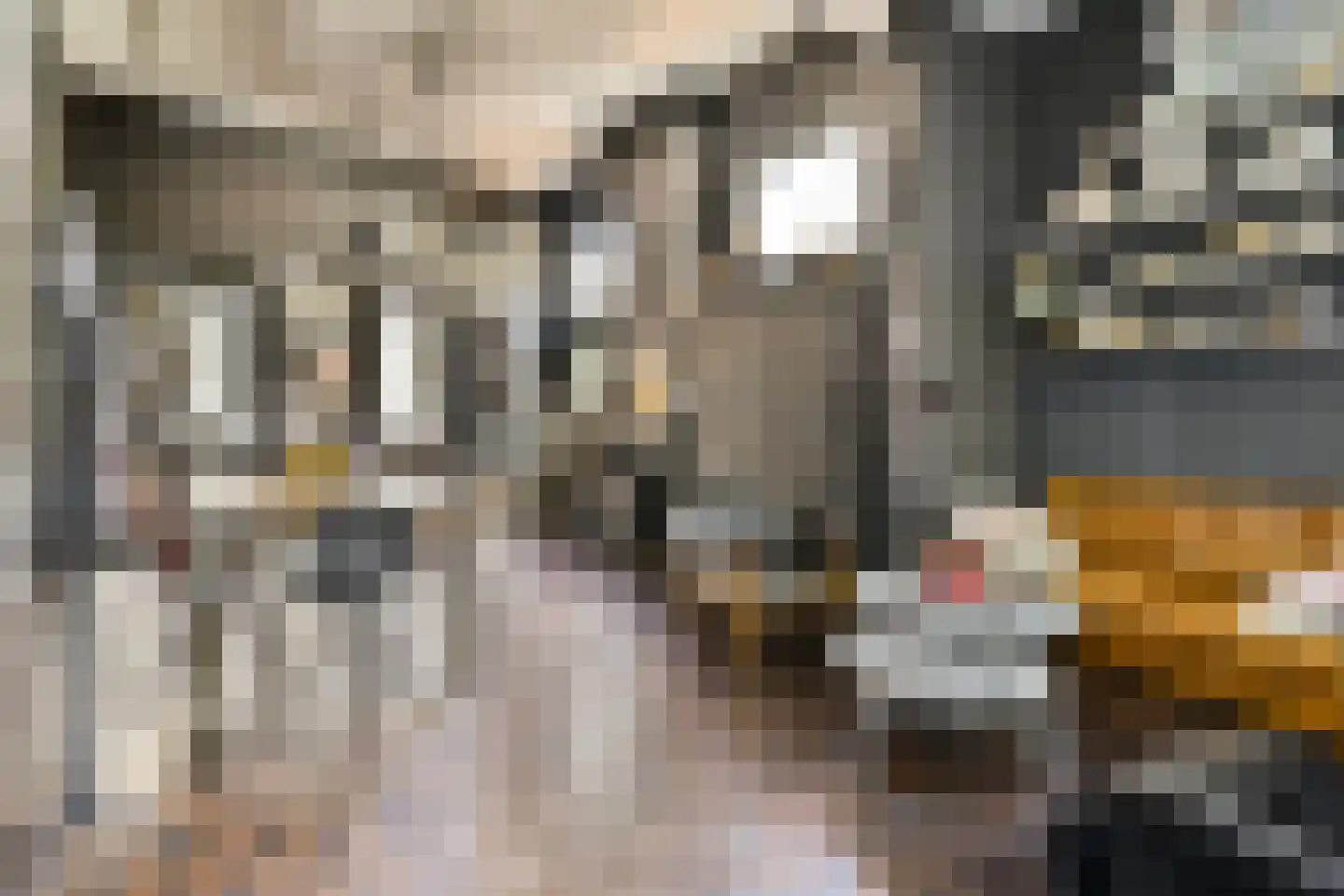 Plantage 2 Leiden thumbnail 12
