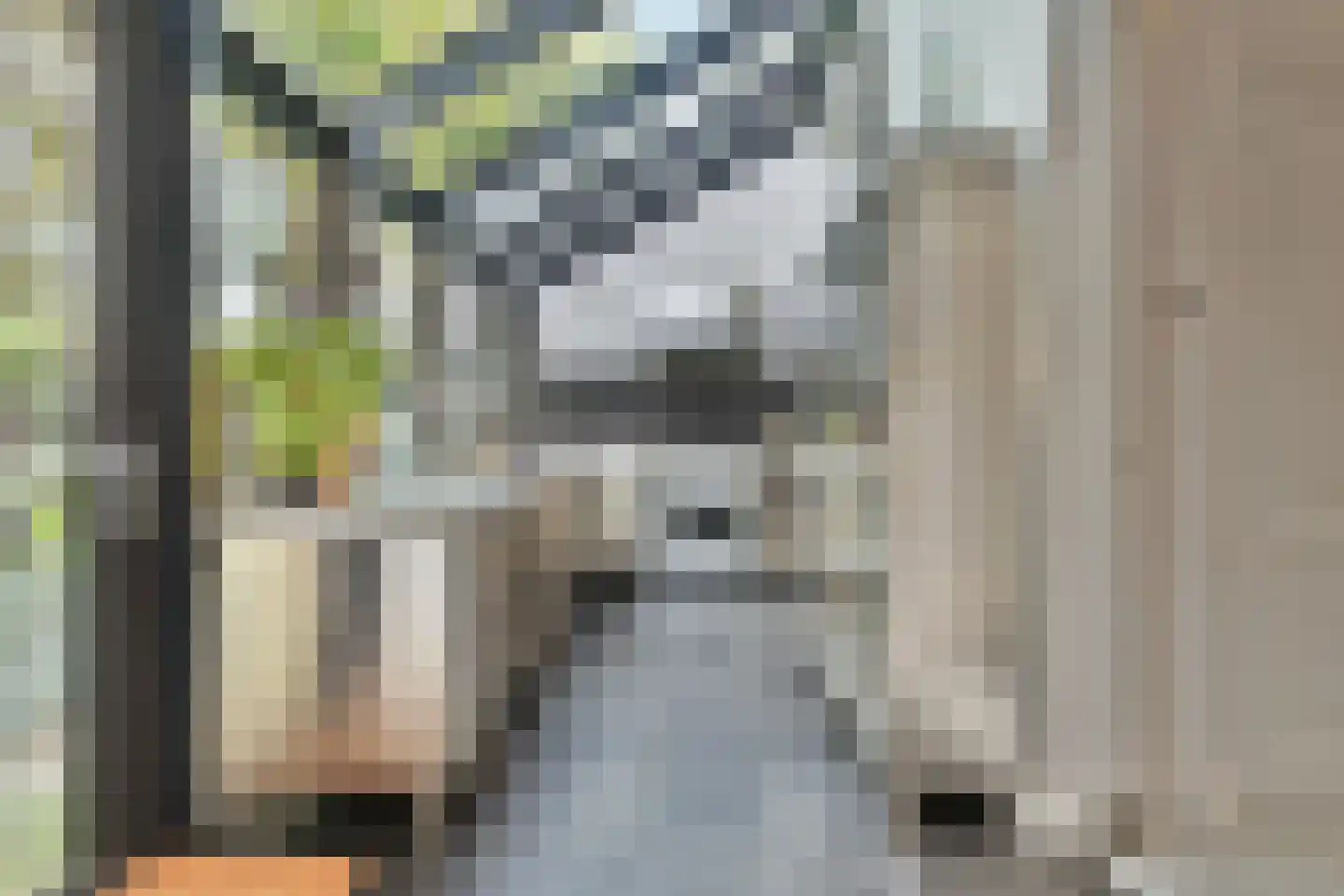 Plantage 2 Leiden thumbnail 13