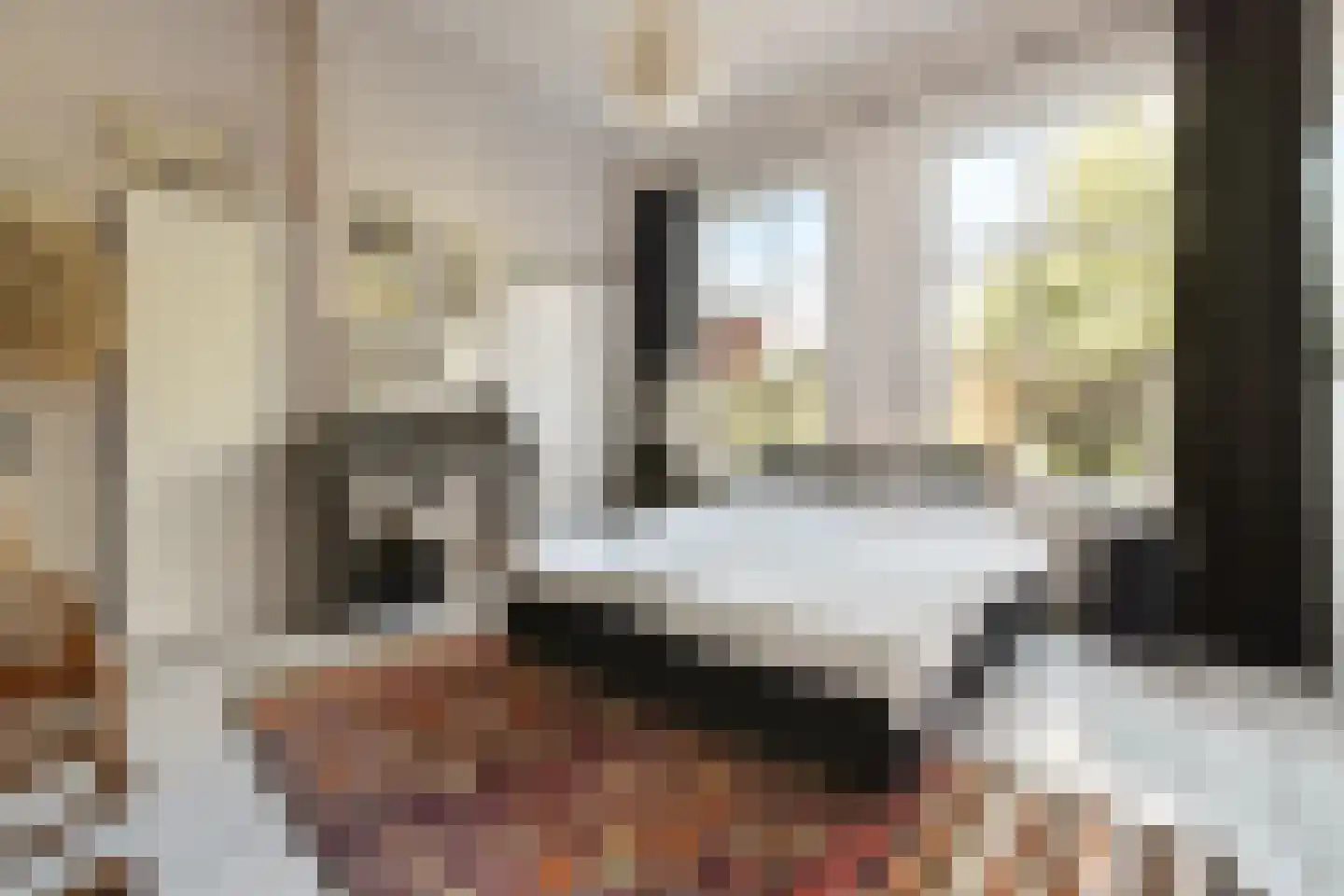 Plantage 2 Leiden thumbnail 17