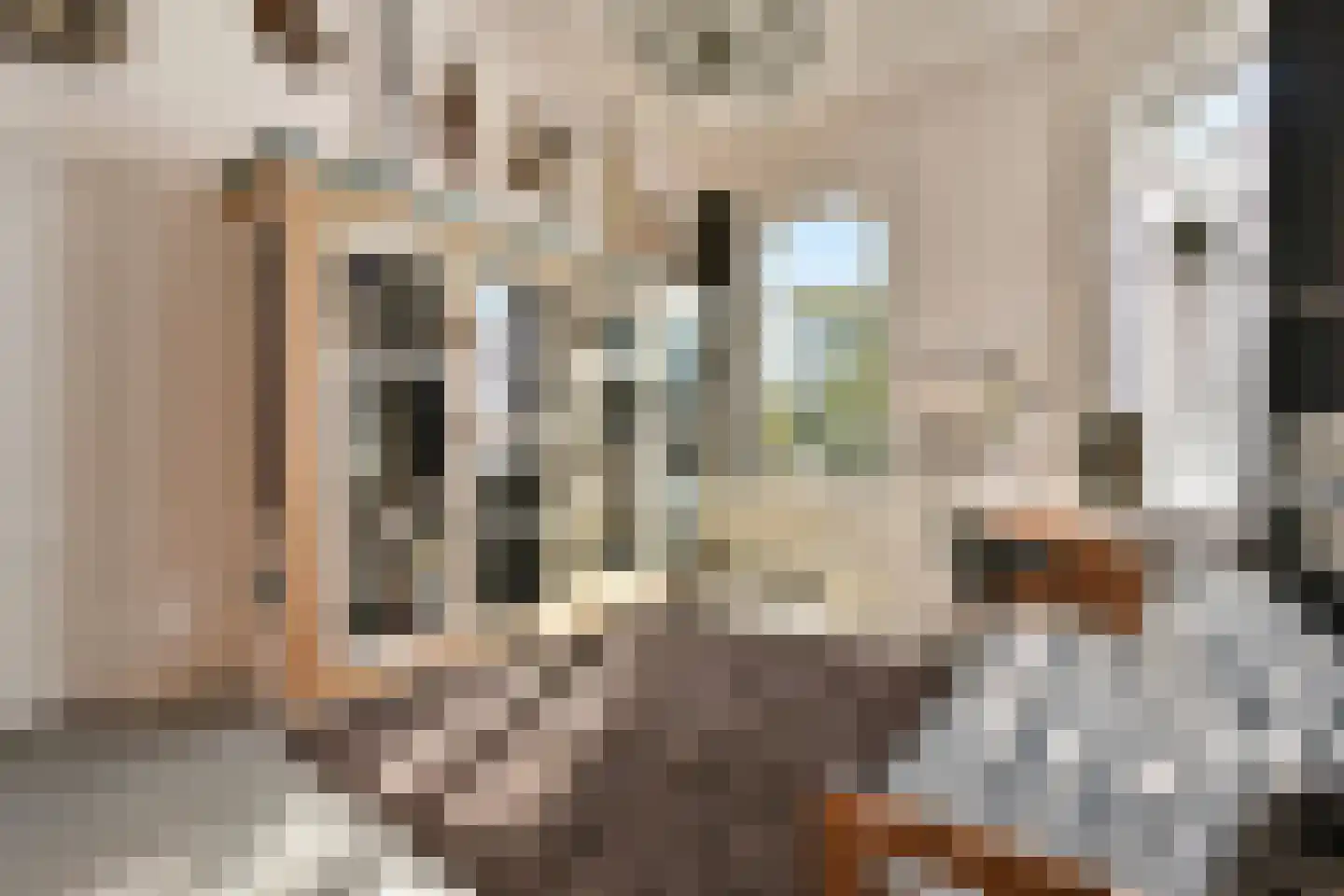 Plantage 2 Leiden thumbnail 23