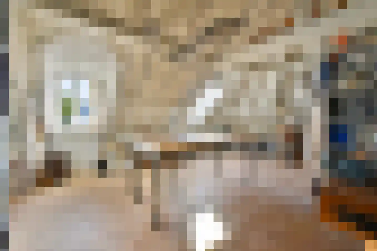 Plantage 2 Leiden thumbnail 26